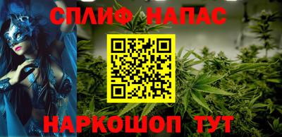 сатива Моздок