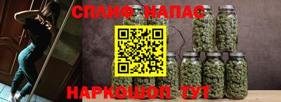 сатива Моздок