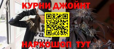 сатива Моздок