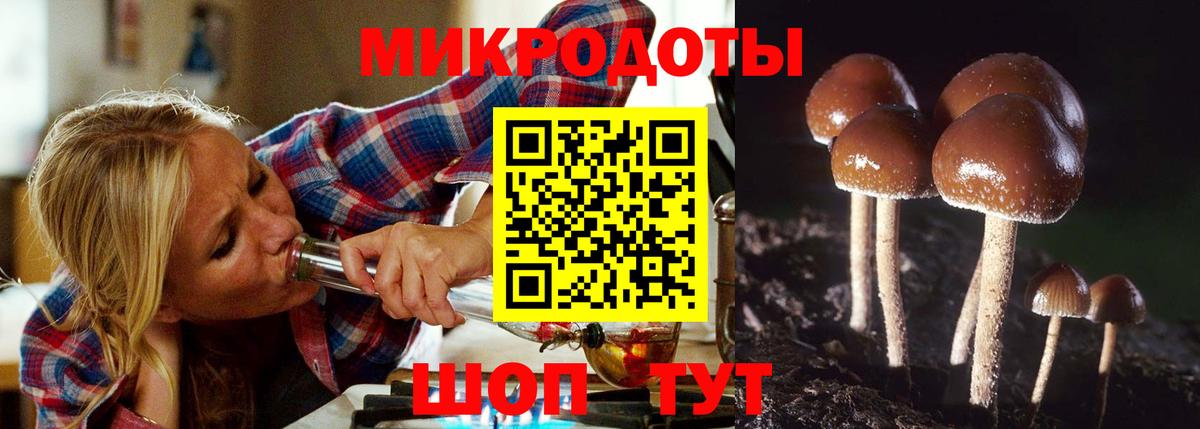 Щёлково  Псилоцибиновые грибы Psilocybine cubensis  Вход с VPN 